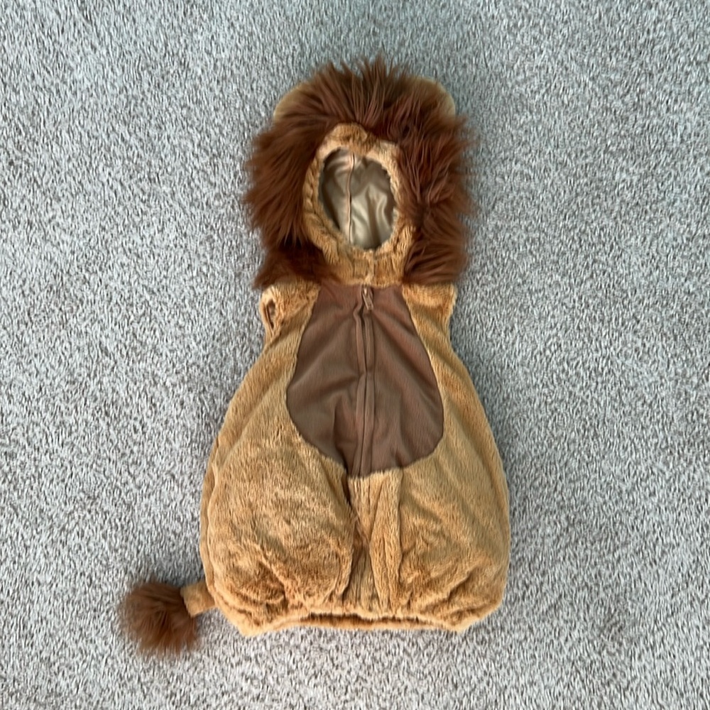 Lion Halloween Costume